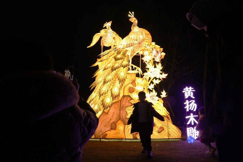 迎新春 中国国家级非遗彩灯亮相温州花灯长廊