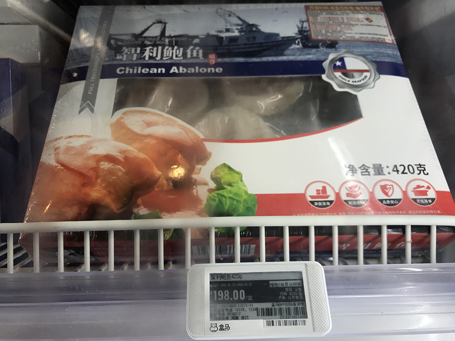 智利鲍鱼